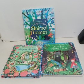 原版英文：Usborne Peep Inside a Fairy Tale 三本合售