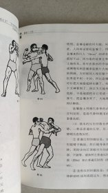 霸拳 亚披勒古法泰拳真传