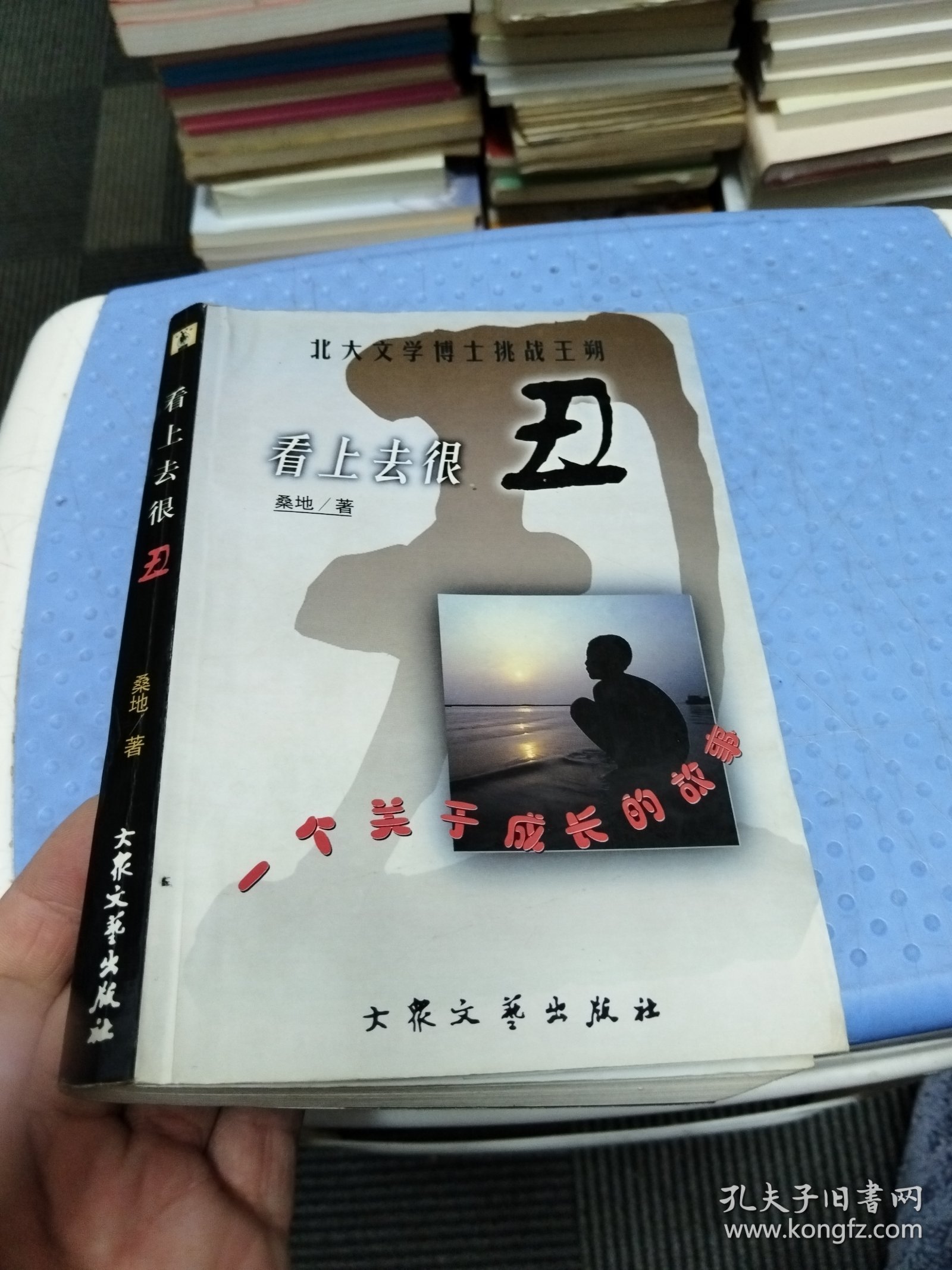 看上去很丑