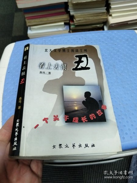 看上去很丑