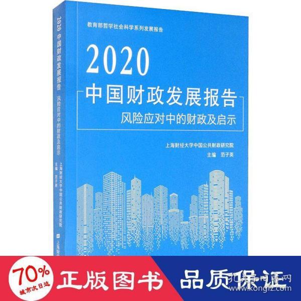 2020中国财政发展报告风险应对中的财政及启示