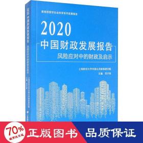 2020中国财政发展报告风险应对中的财政及启示