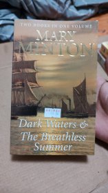 DARK WATERS MARY MINTON