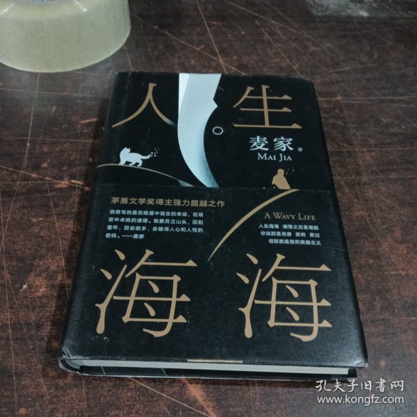 麦家：人生海海（茅盾文学奖得主麦家2019年强力之作）