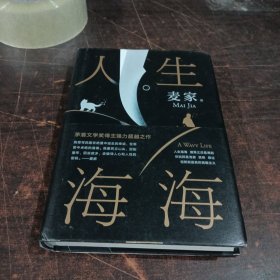 麦家：人生海海（茅盾文学奖得主麦家2019年强力之作）