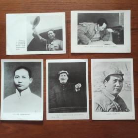 毛泽东照片一组、共5张