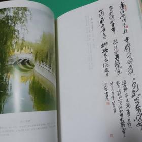 【书法类可开票】黄帝故里新郑书法绘画作品集8开