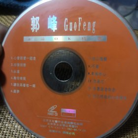 郭峰 VCD 裸盘