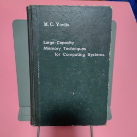 Large-Capacity Memory Techniques for Computing Systems（计算机系统用容量记忆技术）