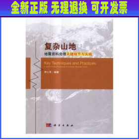 复杂山地地震资料处理关键细节与实践