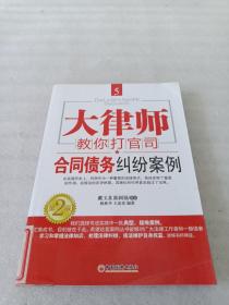 大律师教你打官司5：合同债务纠纷案例（第2版）