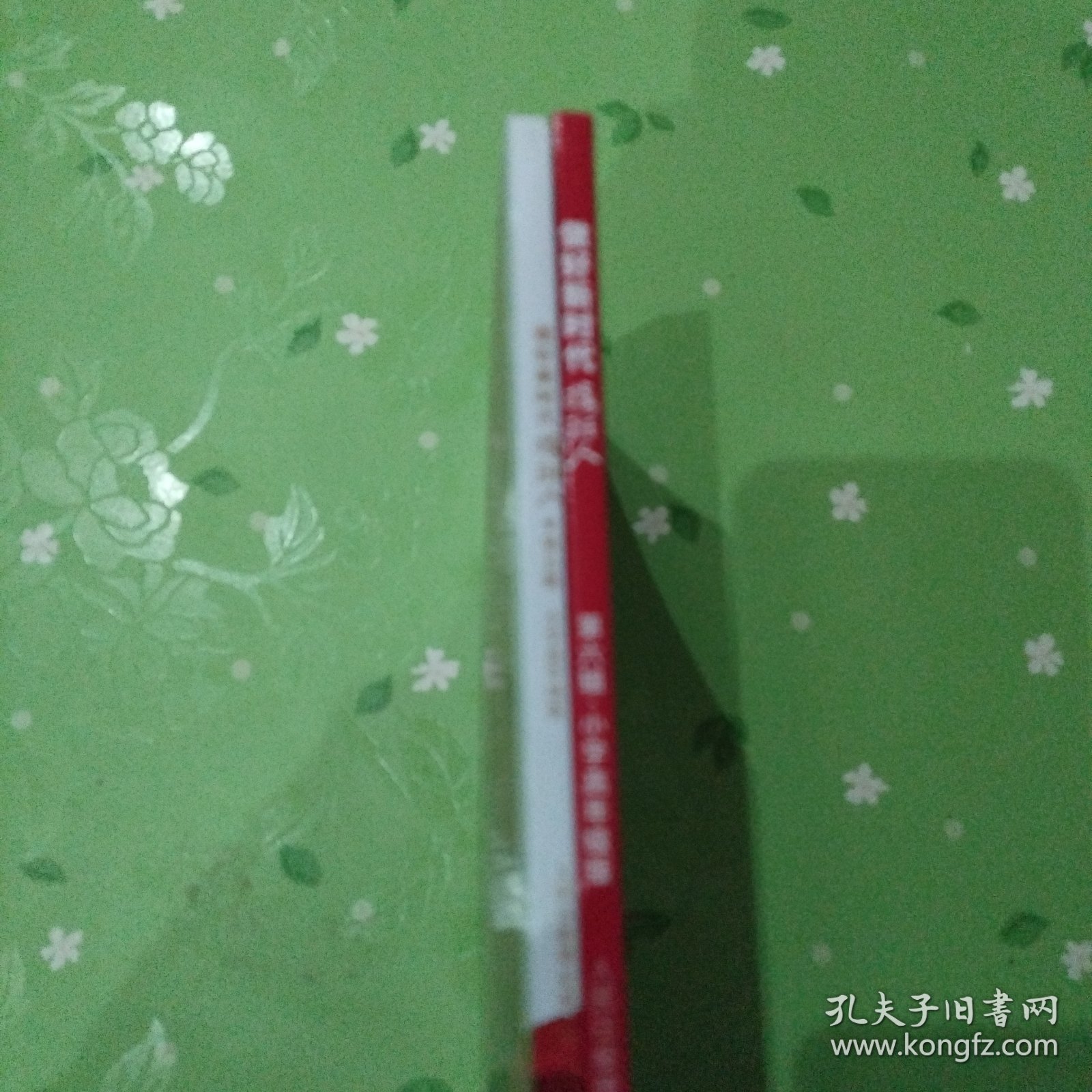 做好新时代接斑人：第五辑，第六辑合售.
