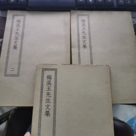 梅溪王先生文集 全三册