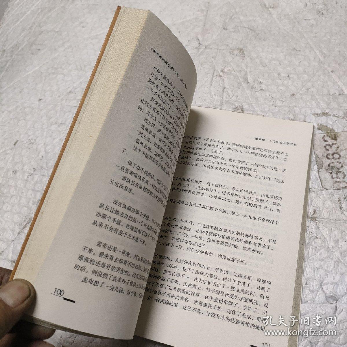 布老虎中篇小说:2004秋之卷