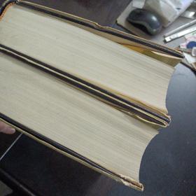 辞海 上中，2册合售,3.9kg——s3