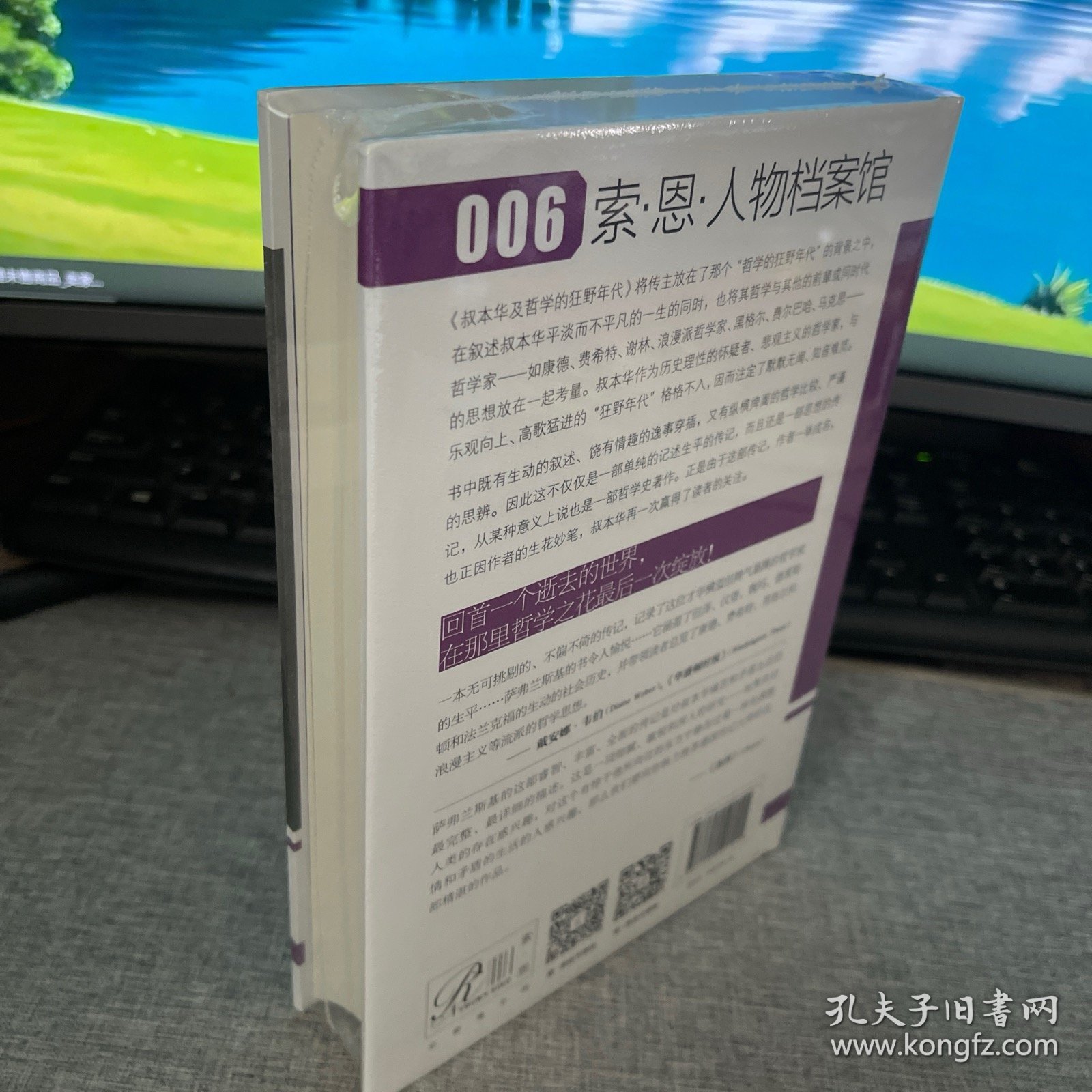 索恩丛书·叔本华及哲学的狂野年代