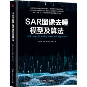 SAR图像去噪模型及算法