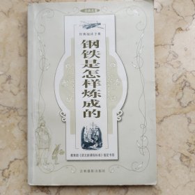 钢铁是怎样炼成的