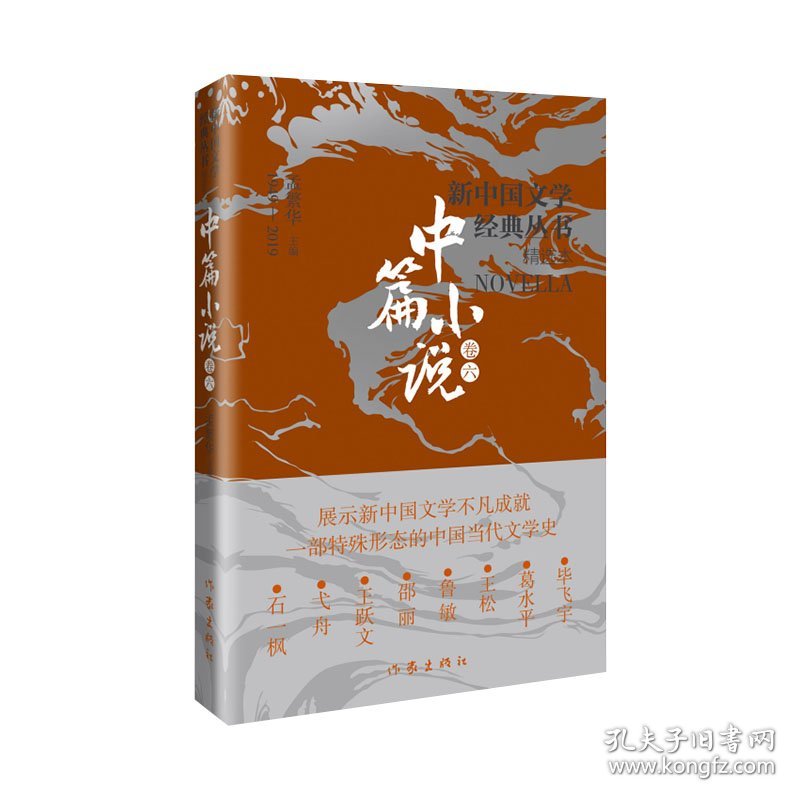 正版速发新中国文学经典丛书·精选本（中篇小说卷六）毕飞宇、葛水平、王松、鲁敏、邵丽、王跃文、弋舟、石一枫9787521221817