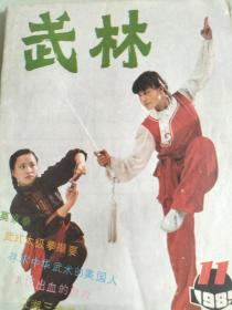 武林，莫家拳，抢四门，对练，武氏太极拳，