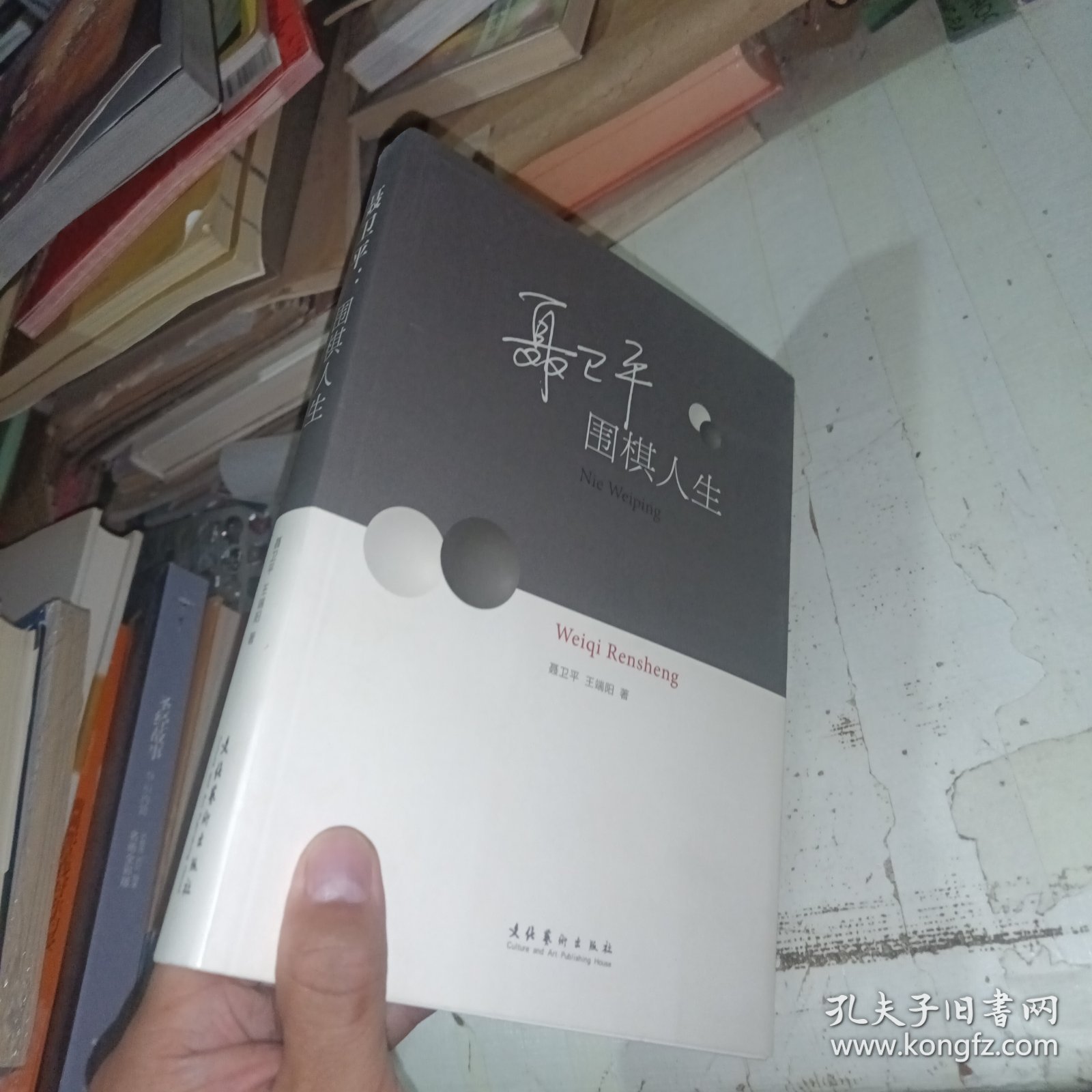 聂卫平：围棋人生