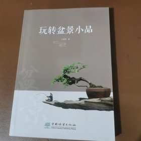 玩转盆景小品