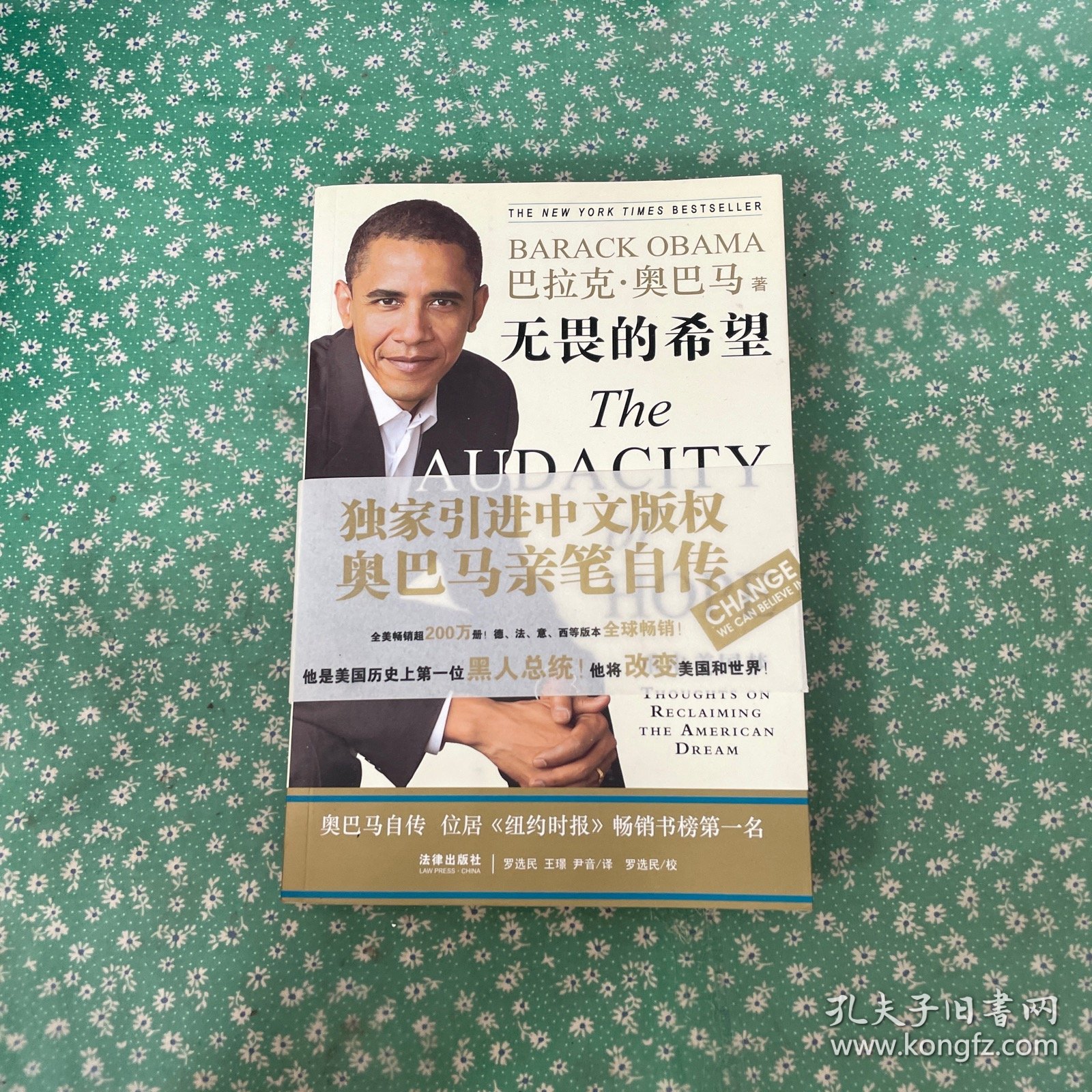 无畏的希望：重申美国梦