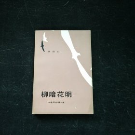 柳暗花明