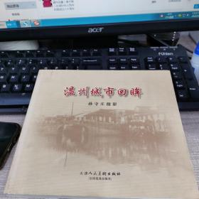 温州城市回眸（孙守庄摄影）