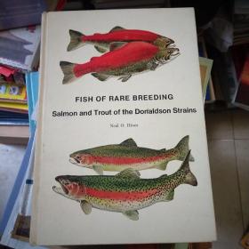 珍稀养殖鱼
唐纳德森菌株中的鲑鱼和鳟鱼fish of rare breeding