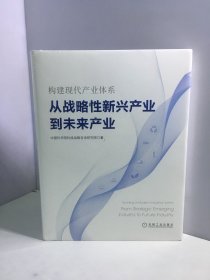 构建现代产业体系：从战略性新兴产业到未来产业【未开封】