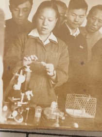 1953年山东农学院美女老师在教学生做生物实验室照片笼子里应该是小白鼠(解放初山东农学院美女小照片相册)