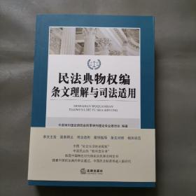 民法典物权编条文理解与司法适用