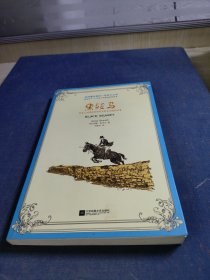 黑骏马