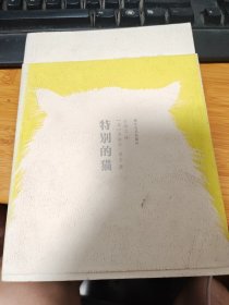 特别的猫