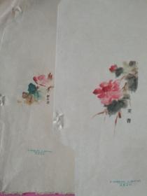 **存档 四色花卉 信封样本 一套 八枚