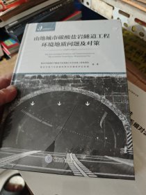 山地城市碳酸盐岩隧道工程环境地质问题及对策