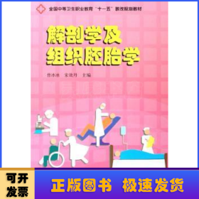 解剖学及组织胚胎学