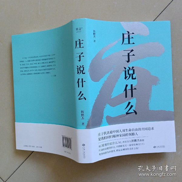 庄子说什么（继《道德经说什么》之后，韩鹏杰又一部道家经典解读著作，樊登作序倾情推荐）