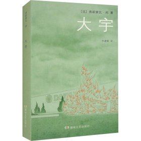 大宇 中国现当代文学 (法)弗朗索瓦·邦 新华正版