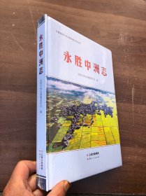 永胜中洲志（全新未拆封）"