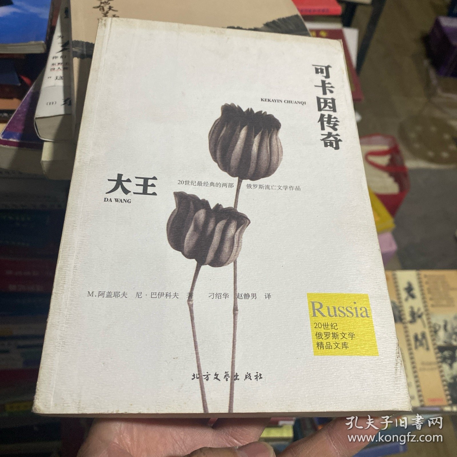 可卡因传奇 大王