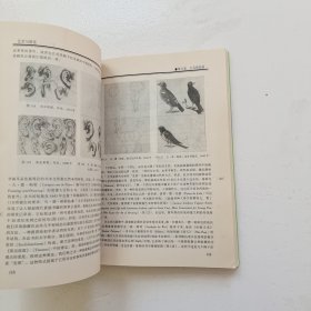 艺术与错觉：图画再现的心理学研究