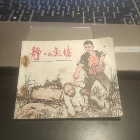 静静的鱼塘