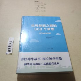 世界能源之巅的300个梦想