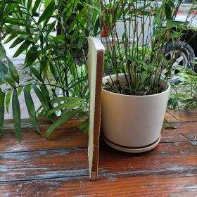 廿一史战略考