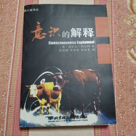 意识的解释