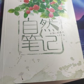 自然笔记（Vol.1.8）：微小的春天