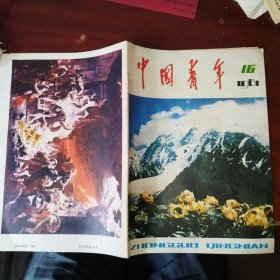 中国青年1981年第16期