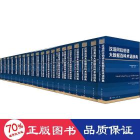 大数据百科术语辞典汉外对照系列丛书(全20册) 外语－其他语种读物 作者